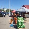 images/gallery/piete/cug/cug 06.jpg